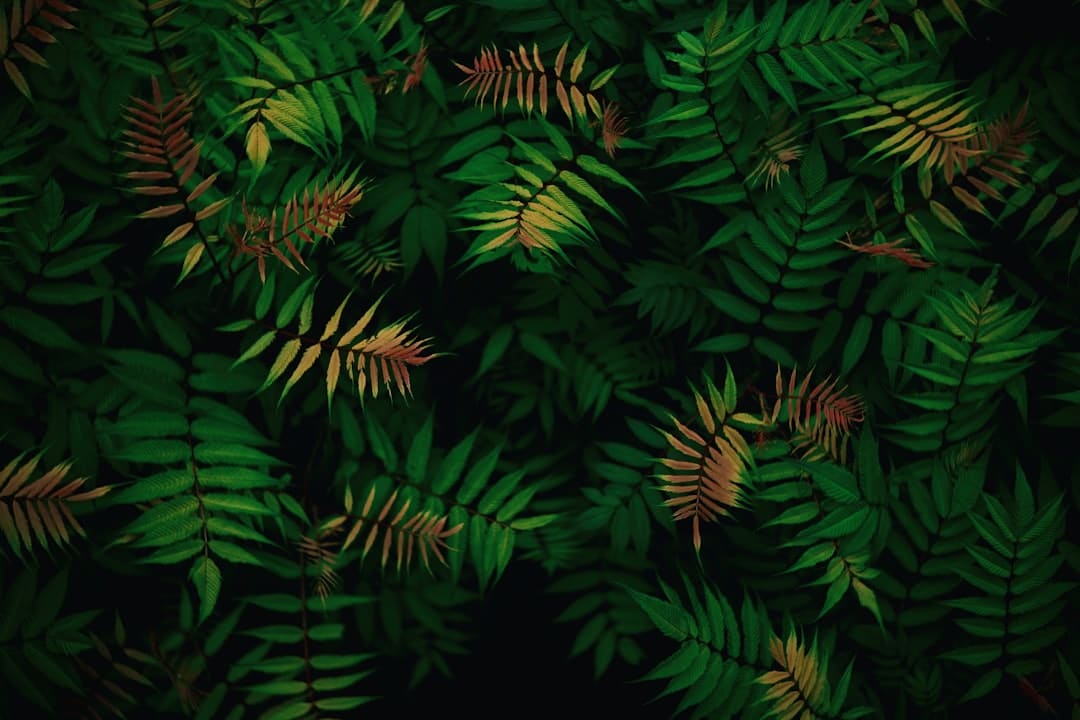 http://n.sinaimg.cn/news/transform/w600h400/20180307/V6cG-fxipenp1198307.jpg?zdy